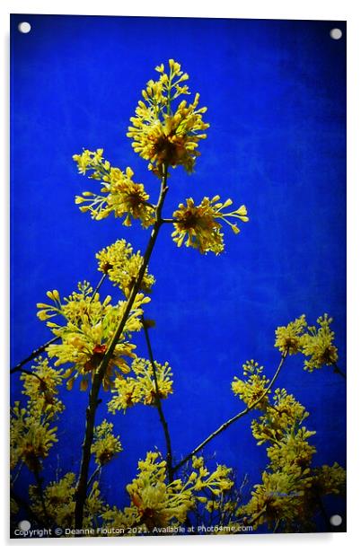 Golden Blossoms in the Cobalt Sky Acrylic by Deanne Flouton