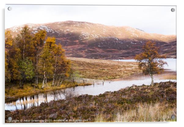 Loch Tarff at Autumn, Scottish Highlands Acrylic by Peter Greenway
