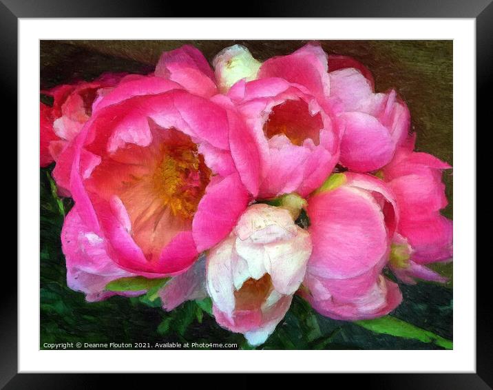 Peonies in Bloom Framed Mounted Print by Deanne Flouton