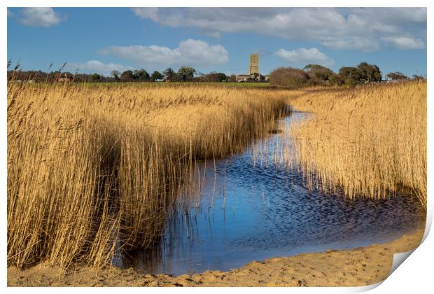 Covehithe Benacre broad suffolk Print by Kevin Snelling