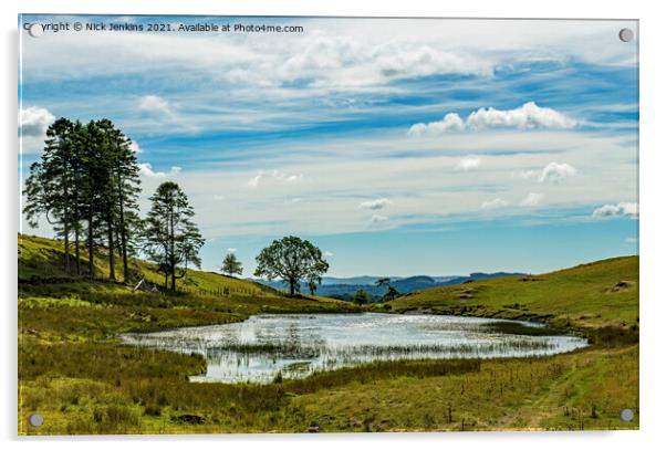 School Knott Tarn near Windermere Lake District Acrylic by Nick Jenkins