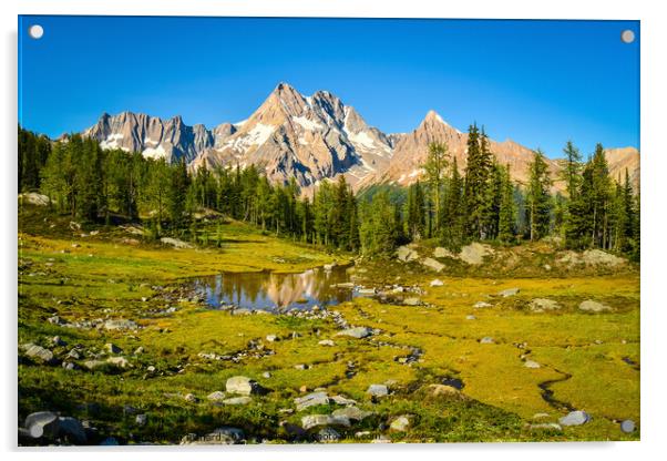 Mountain Reflection Jumbo Pass Acrylic by Shawna and Damien Richard