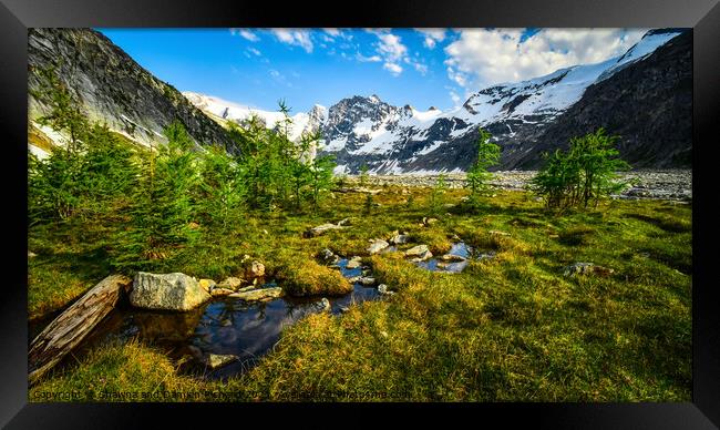 Mountain Meadow, British Columbia, Canada Framed Print by Shawna and Damien Richard