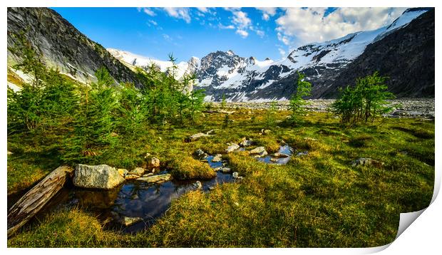 Mountain Meadow, British Columbia, Canada Print by Shawna and Damien Richard