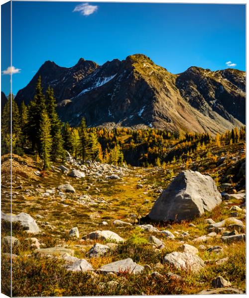 Mountain in Fall Canvas Print by Shawna and Damien Richard