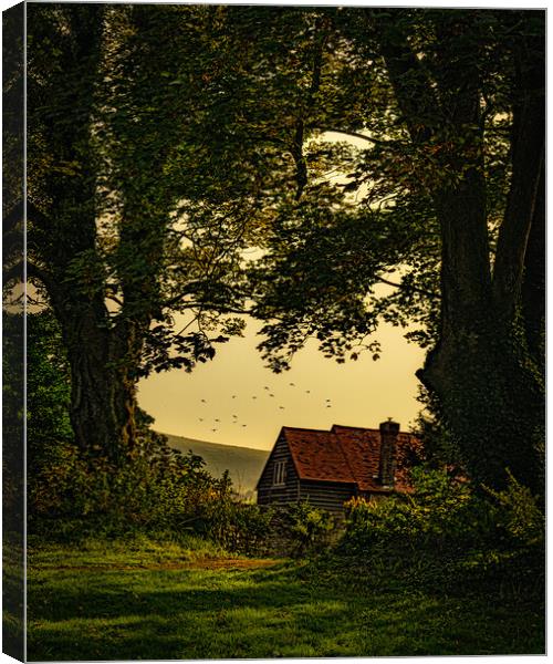 The House By The Forest Canvas Print by Chris Lord