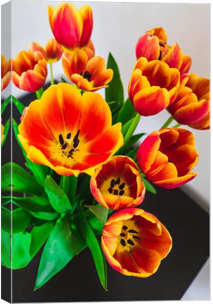 Lovely Bunch of Spring Canvas Print by LensLight Traveler