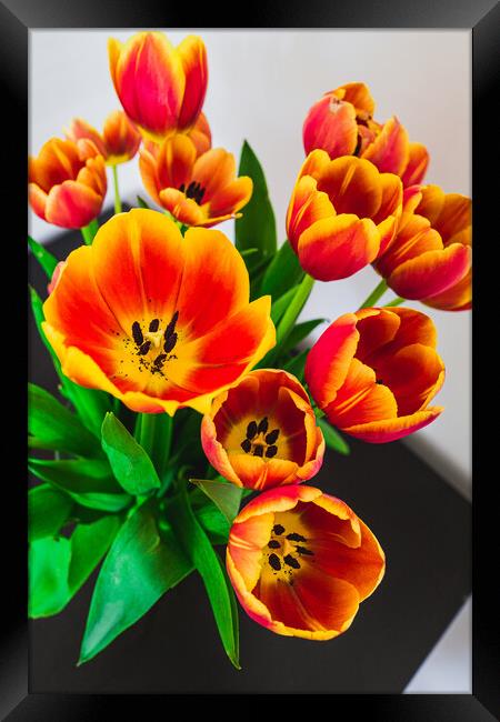Lovely Bunch of Spring Framed Print by LensLight Traveler