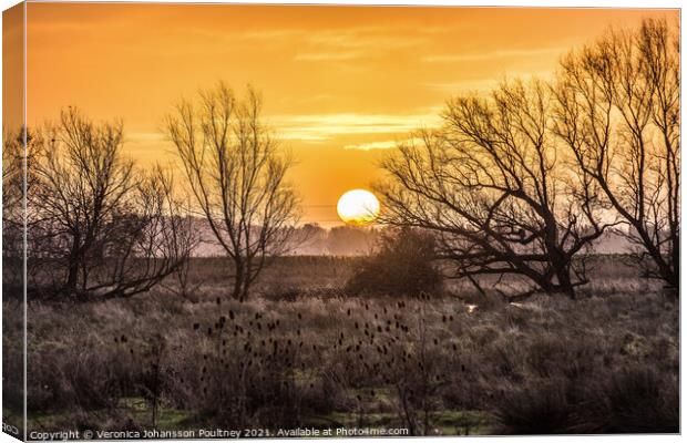 A sunrise over the Fens Canvas Print by Veronica in the Fens
