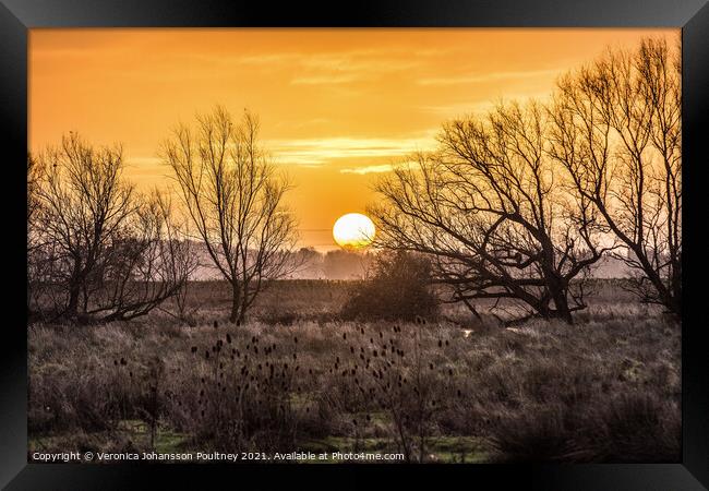 A sunrise over the Fens Framed Print by Veronica in the Fens