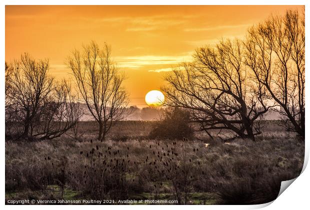 A sunrise over the Fens Print by Veronica in the Fens