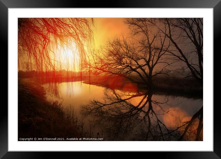 Winter sun Framed Mounted Print by Jim O'Donnell