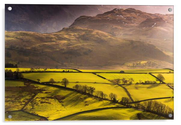 Castlerigg Stone Circle with Naddle Fell Acrylic by John Finney