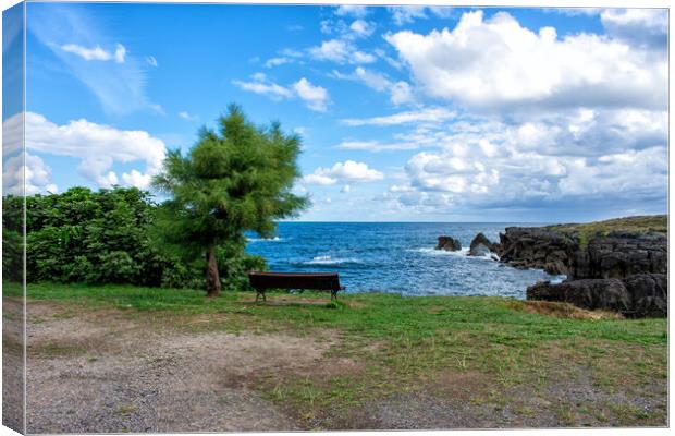 nice view of the sea with a bench under the tree Canvas Print by David Galindo