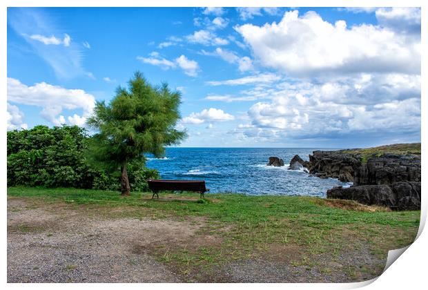 nice view of the sea with a bench under the tree Print by David Galindo