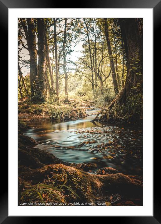 AUTUMN AT CANNOP PONDS FOREST OF DEAN Framed Mounted Print by Craig Ballinger
