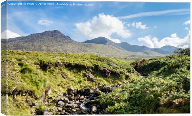 MacGillycuddy Reeks Ireland Canvas Print by Pearl Bucknall