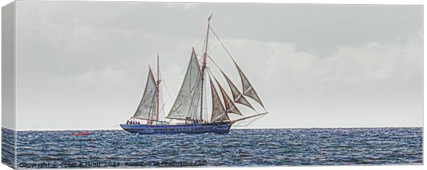 Bessie Ellen Sailing Off Charlestown Canvas Print by Peter F Hunt