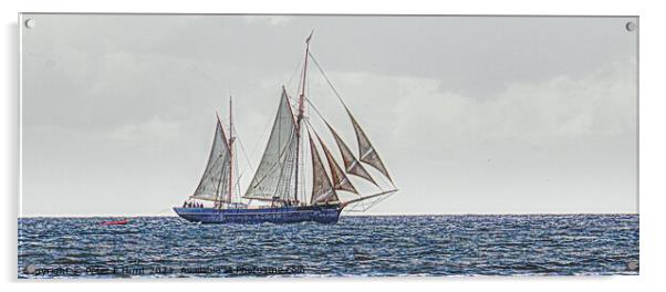 Bessie Ellen Sailing Off Charlestown Acrylic by Peter F Hunt