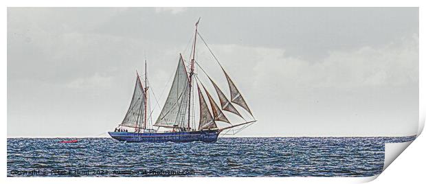 Bessie Ellen Sailing Off Charlestown Print by Peter F Hunt