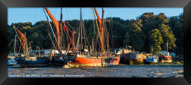 Thames barges at Pin Mill. Framed Print by Bill Allsopp