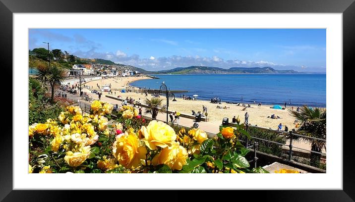 Roses in bloom overlooking Lyme Regis beach Framed Mounted Print by Love Lyme Regis