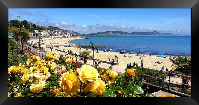 Roses in bloom overlooking Lyme Regis beach Framed Print by Love Lyme Regis