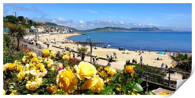 Roses in bloom overlooking Lyme Regis beach Print by Love Lyme Regis