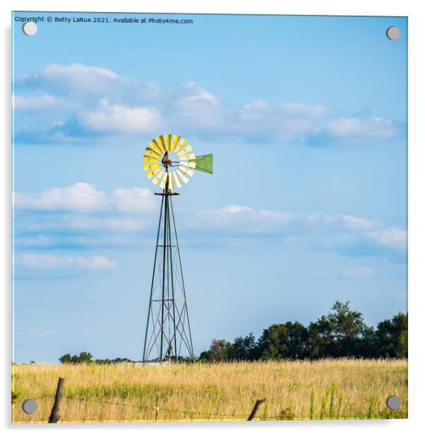 Windmill Against Blue Sky Acrylic by Betty LaRue