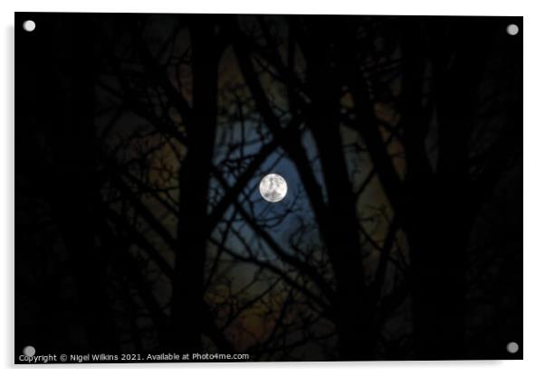 Full Moon Acrylic by Nigel Wilkins