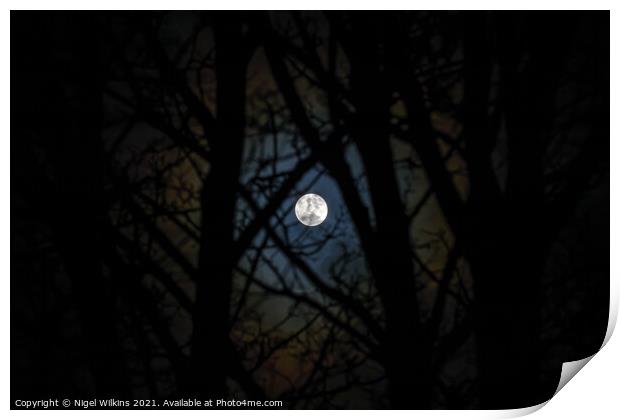 Full Moon Print by Nigel Wilkins