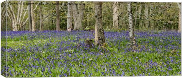 English Bluebell Wood, bluebell, Canvas Print by kathy white