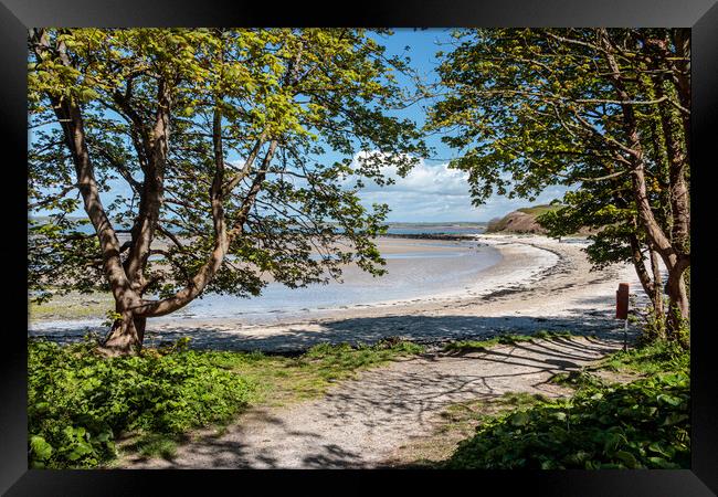 Beach, Penrhos Country Park Framed Print by Wendy Williams CPAGB