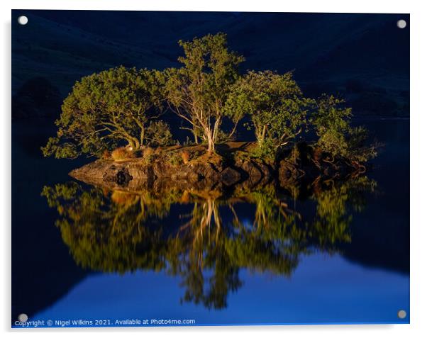Island on Crummock Water Acrylic by Nigel Wilkins