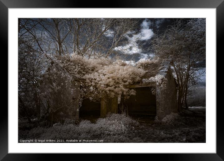 Reclaimed by Nature Framed Mounted Print by Nigel Wilkins