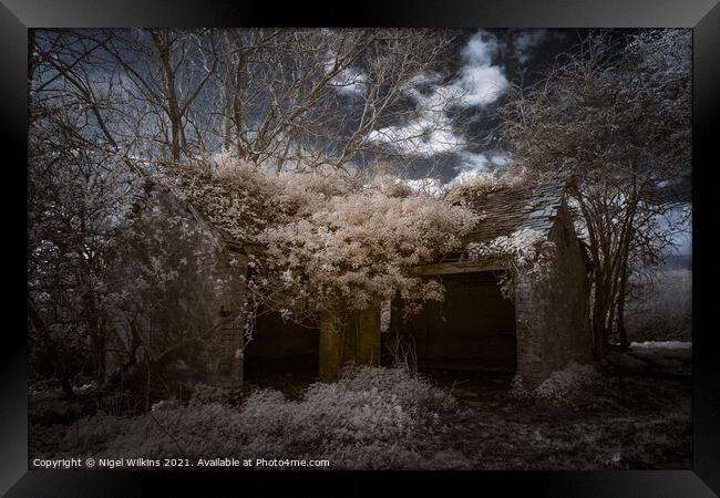 Reclaimed by Nature Framed Print by Nigel Wilkins