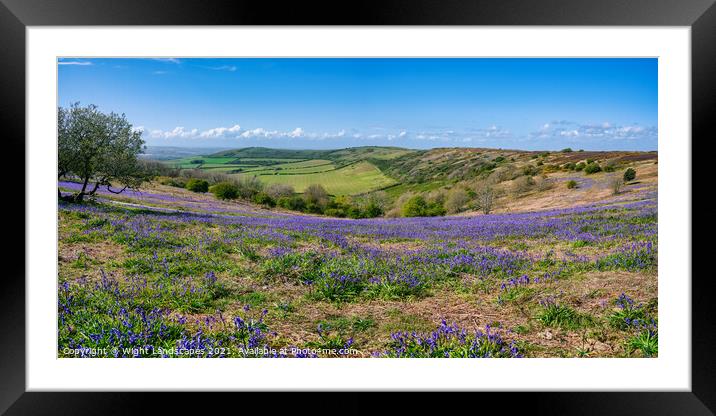 Ventnor Down Bluebell Panarama Framed Mounted Print by Wight Landscapes