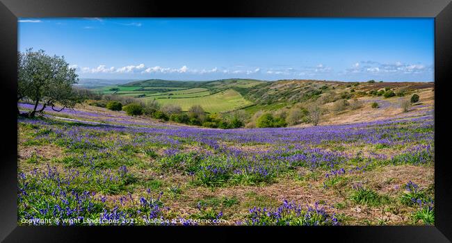 Ventnor Down Bluebell Panarama Framed Print by Wight Landscapes