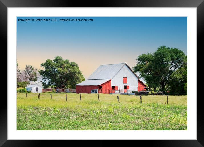 Farmyard Barn Framed Mounted Print by Betty LaRue