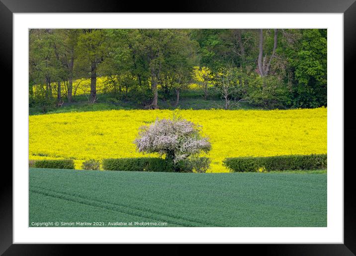 Vibrant Spring Scene Framed Mounted Print by Simon Marlow