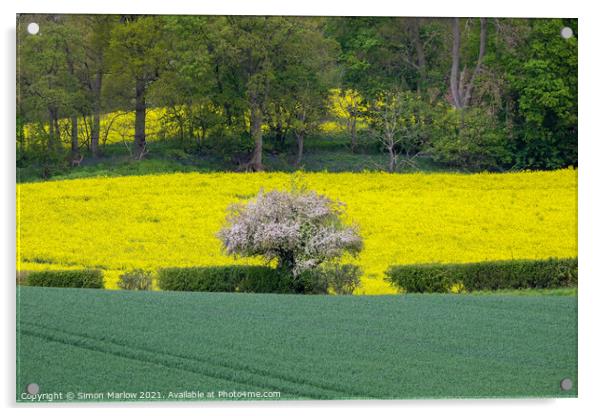 Vibrant Spring Scene Acrylic by Simon Marlow