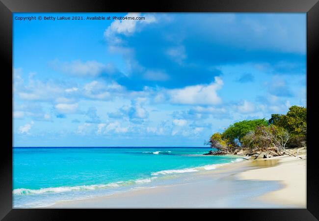 Turtle Beach on Buck Island Framed Print by Betty LaRue