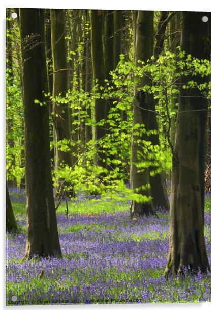Sunlit leaves and bluebells Acrylic by Simon Johnson