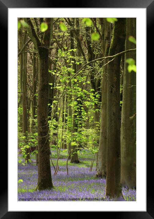 Bluebell Wood Framed Mounted Print by Simon Johnson