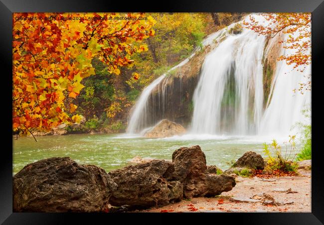 Waterfall in Autumn Framed Print by Betty LaRue