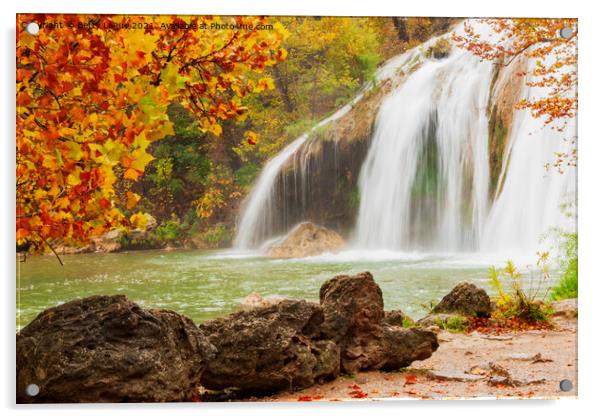 Waterfall in Autumn Acrylic by Betty LaRue