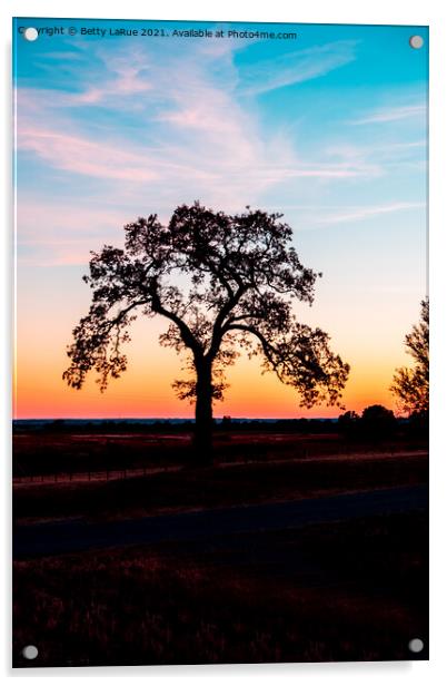 Sunset Tree Silhouette 2 Acrylic by Betty LaRue