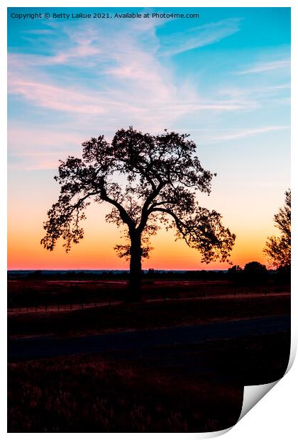 Sunset Tree Silhouette 2 Print by Betty LaRue