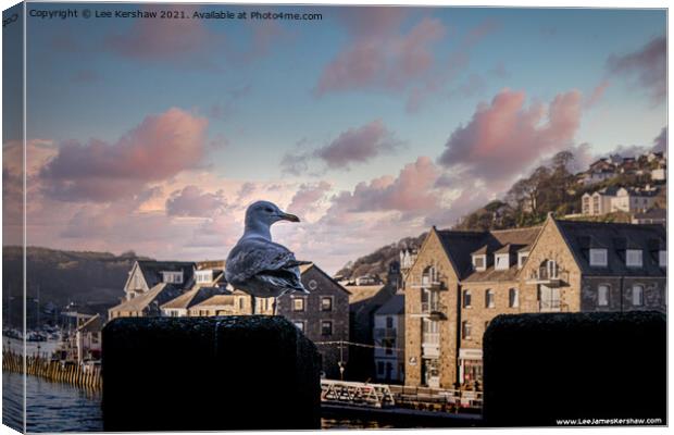 Looe Seagull - Lord of all I Survey Canvas Print by Lee Kershaw