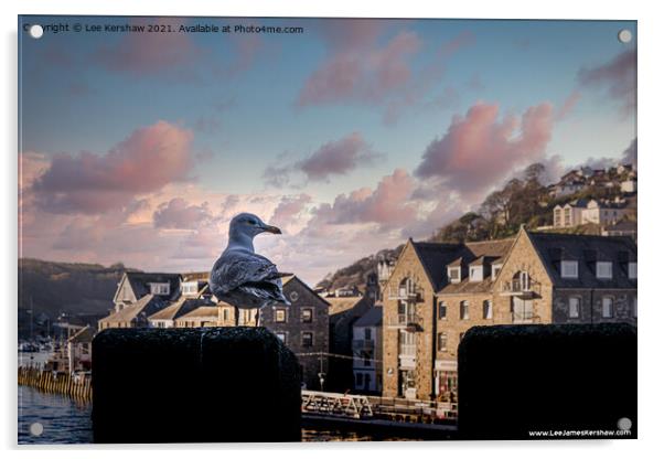 Looe Seagull - Lord of all I Survey Acrylic by Lee Kershaw